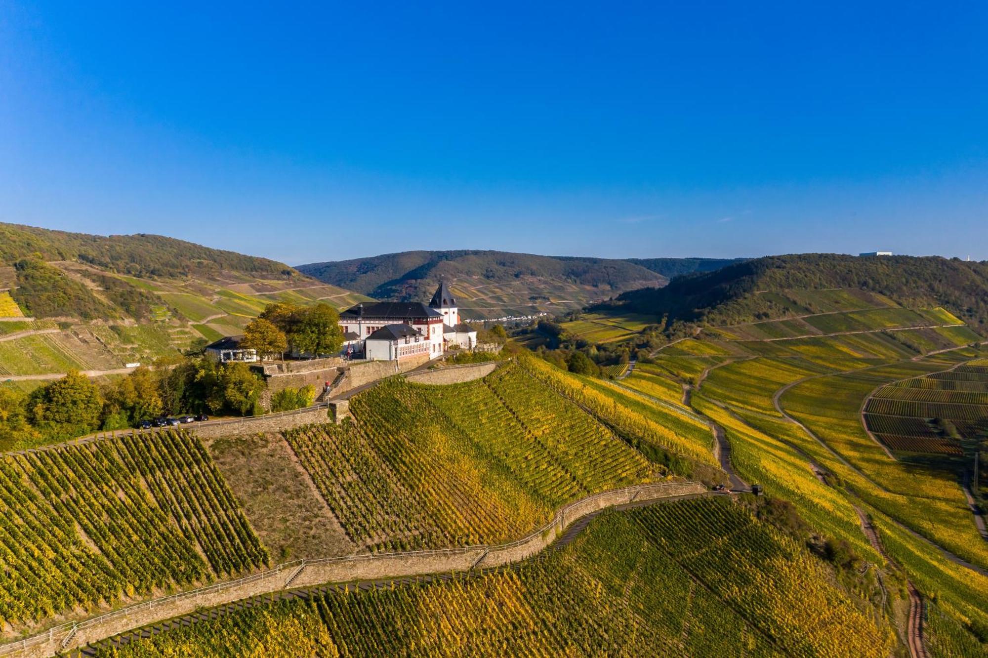Ferienwohnungen Bullay Dış mekan fotoğraf
